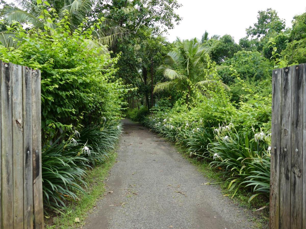 Mango Beach Villas Kihim Alibaug Exterior foto